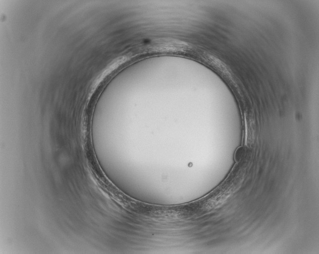 X0000060270435200511181423