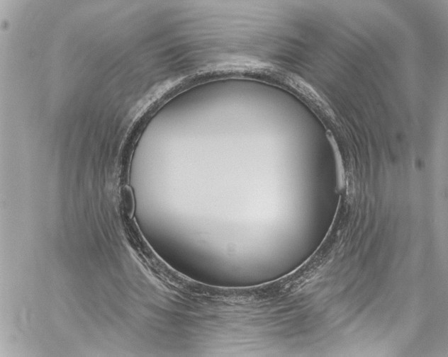 X0000060270436200511181423