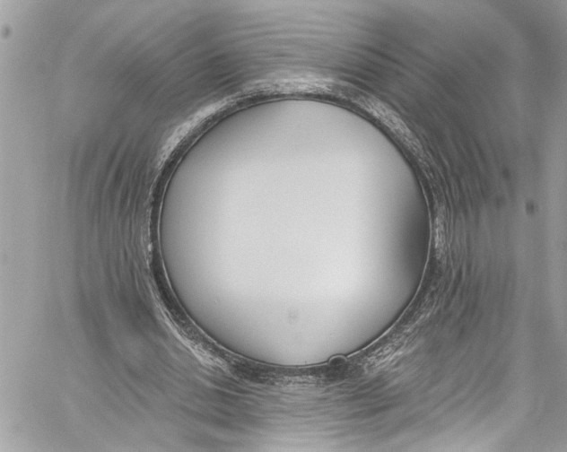 X0000060270438200511181423