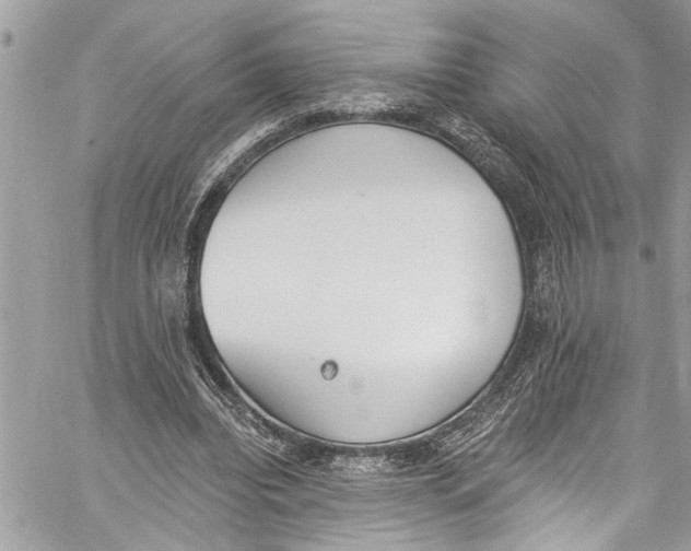 X0000060270440200511181423