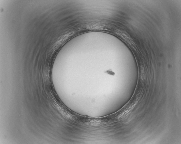 X0000060270441200511181423