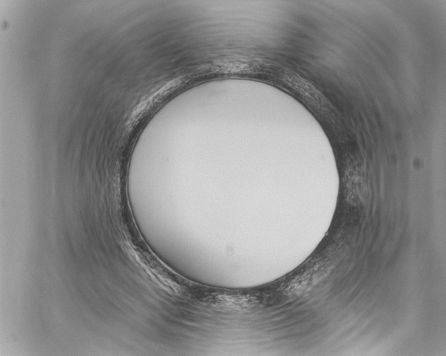 X0000060270442200511181423