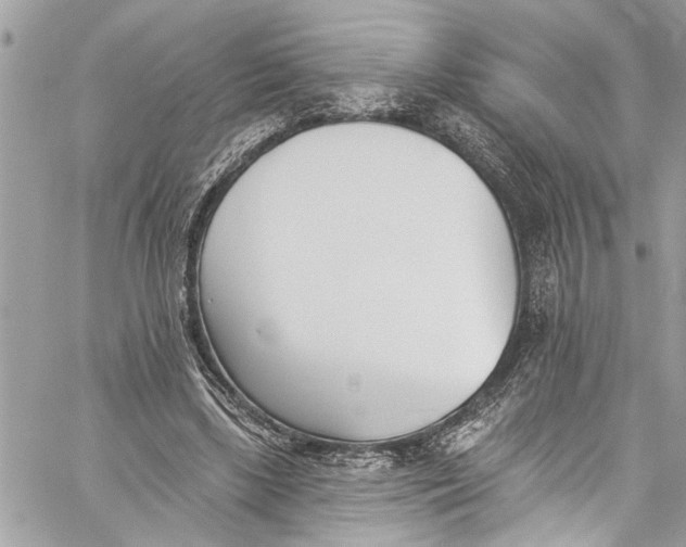 X0000060270443200511181423