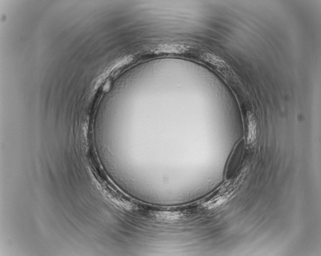 X0000060270444200511181423