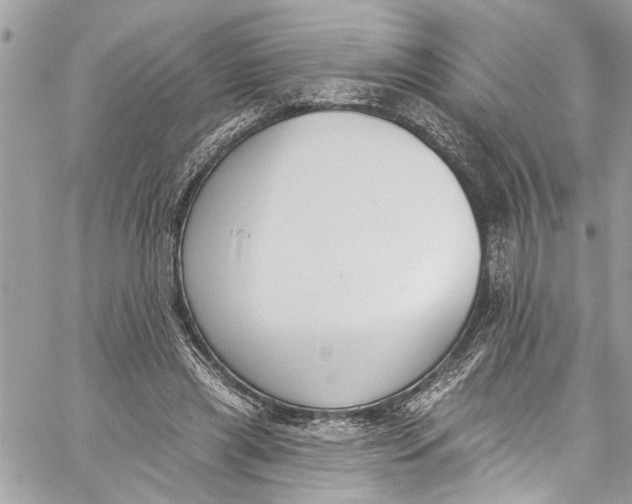 X0000060270445200511181423