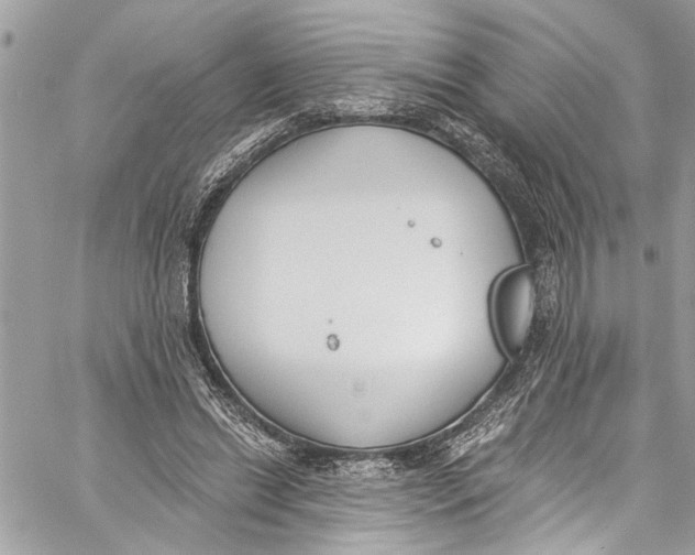 X0000060270446200511181423