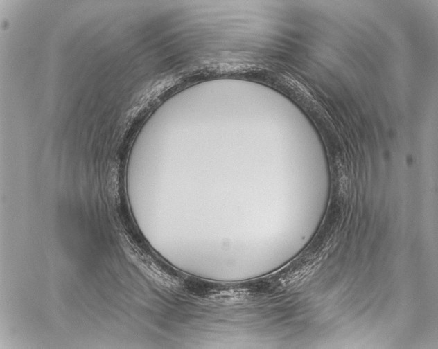 X0000060270447200511181423