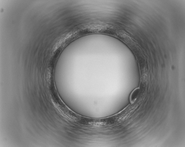 X0000060270448200511181423