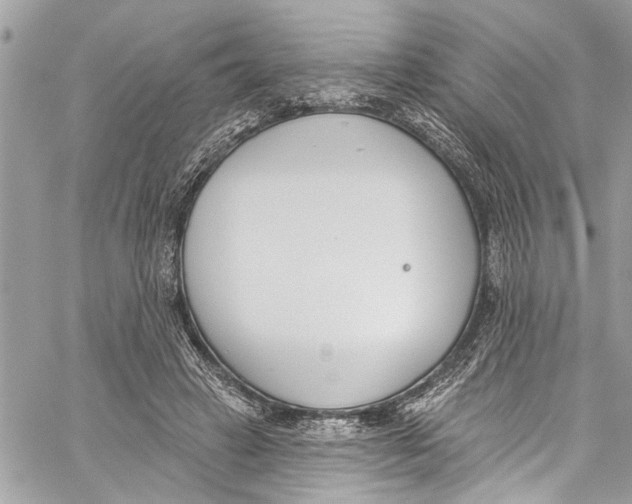 X0000060270449200511181423