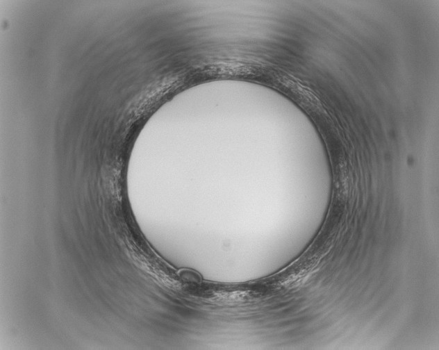 X0000060270450200511181423