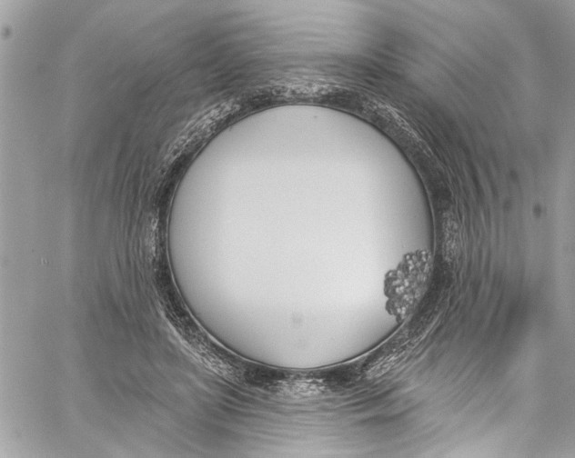 X0000060270451200511181424