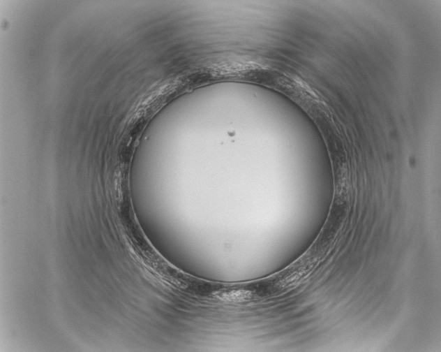 X0000060270452200511181424