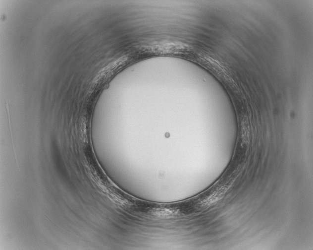 X0000060270453200511181424