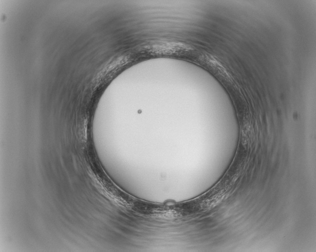 X0000060270454200511181424