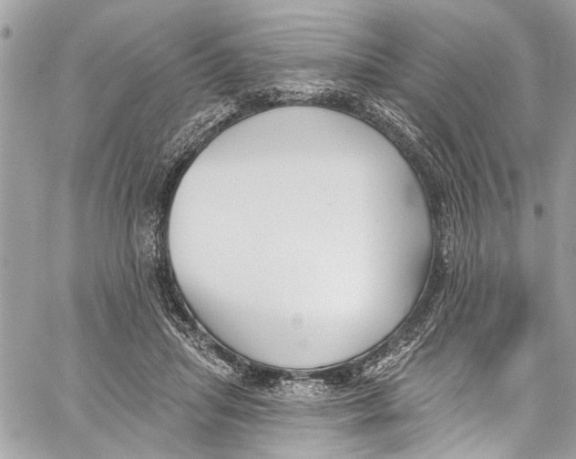 X0000060270455200511181424