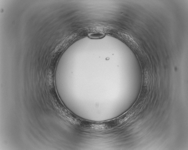 X0000060270457200511181424