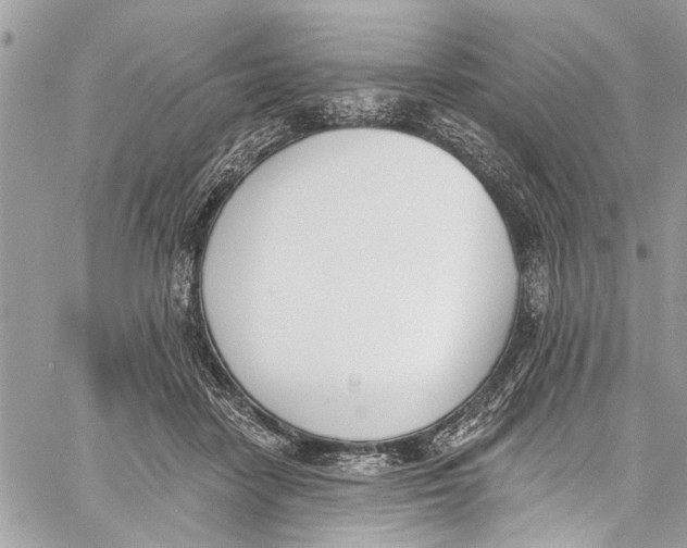 X0000060270458200511181424