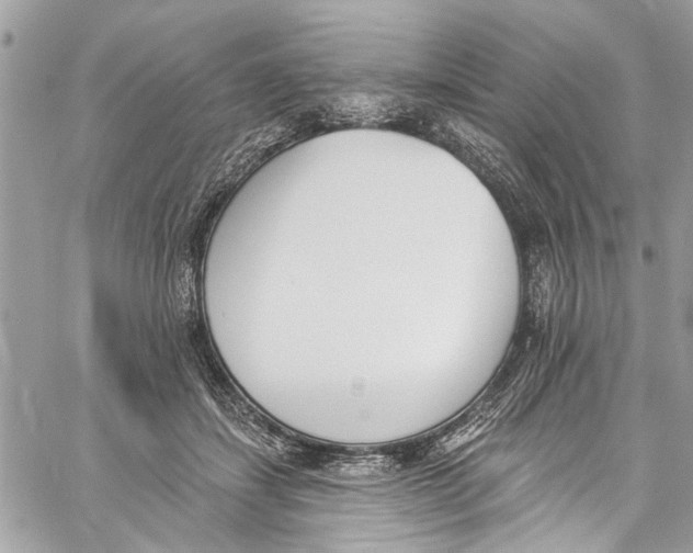 X0000060270459200511181424