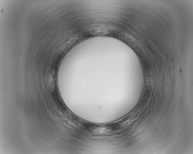 X0000060270460200511181424