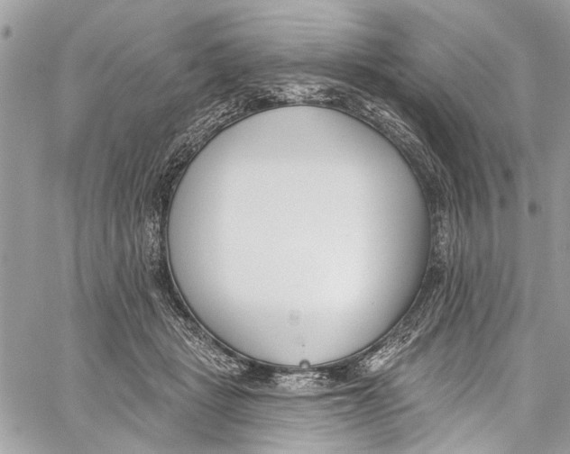 X0000060270461200511181424