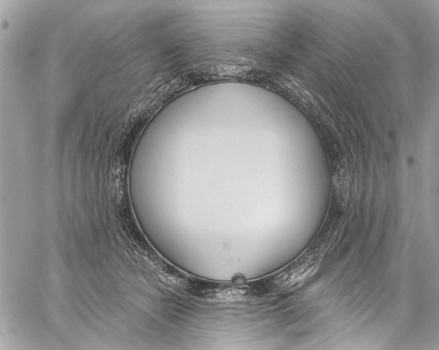 X0000060270462200511181424