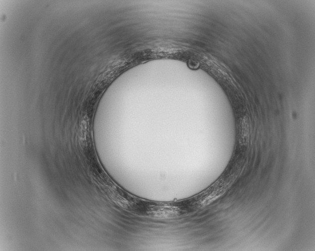 X0000060270463200511181424