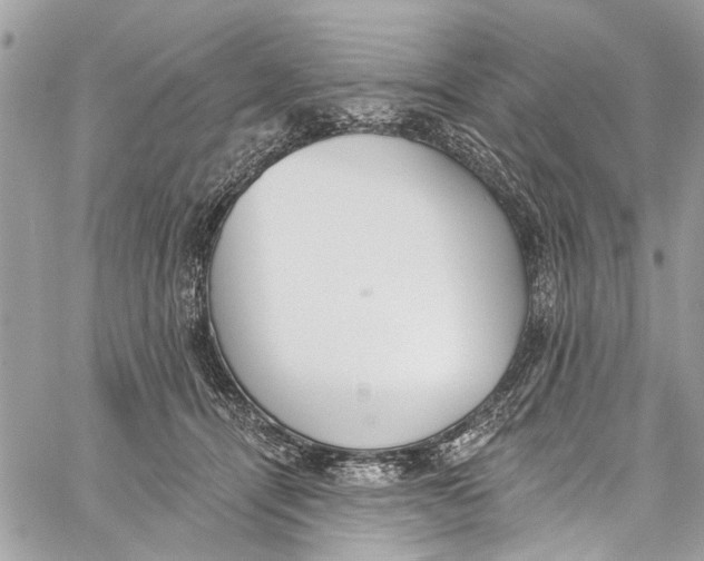 X0000060270464200511181424