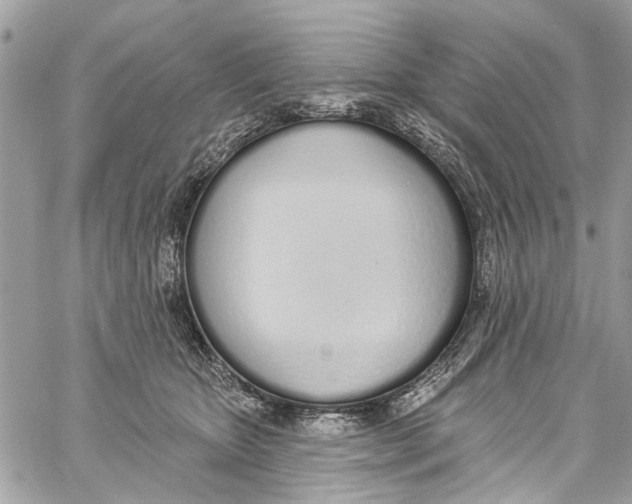 X0000060270467200511181424