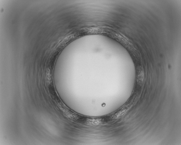 X0000060270469200511181424