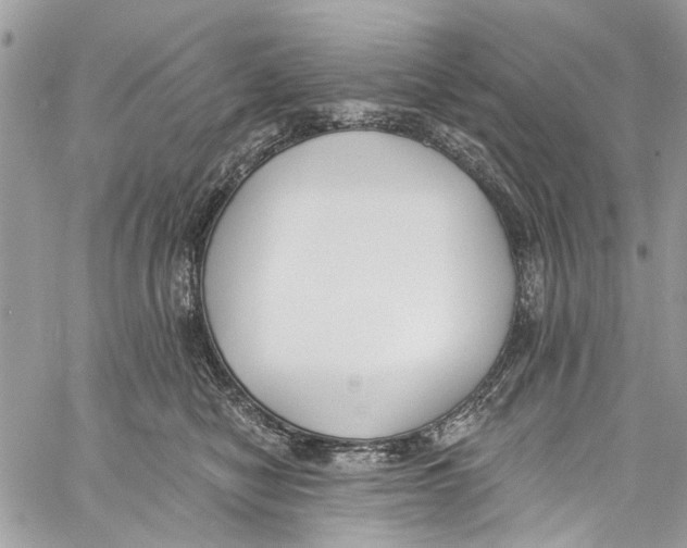 X0000060270470200511181424