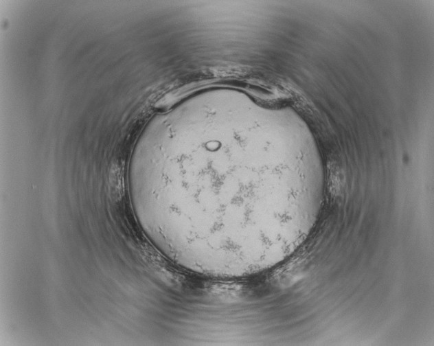 X0000060270471200511181424