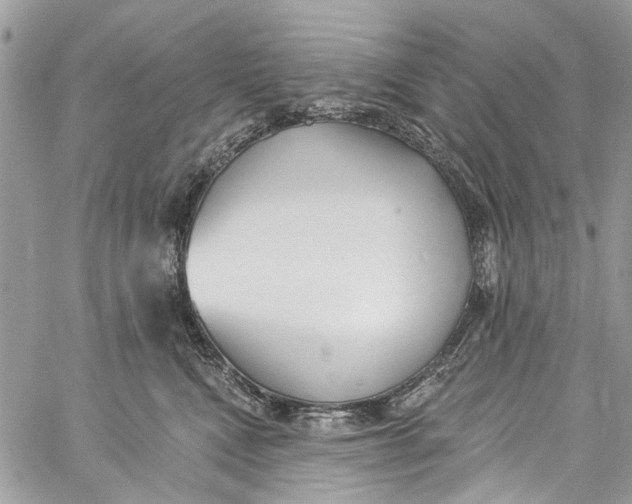 X0000060270472200511181424