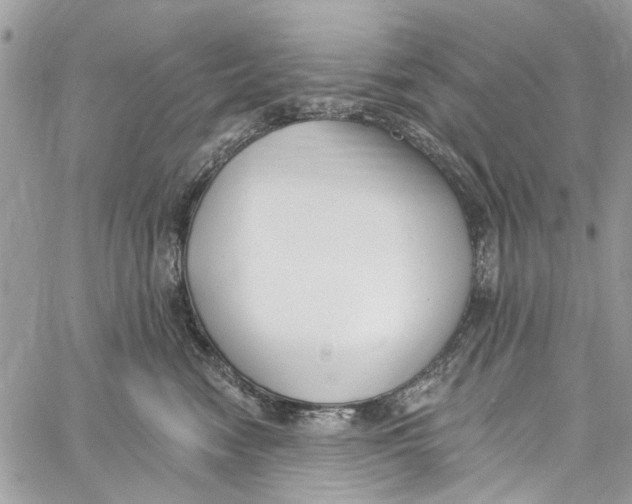 X0000060270474200511181424