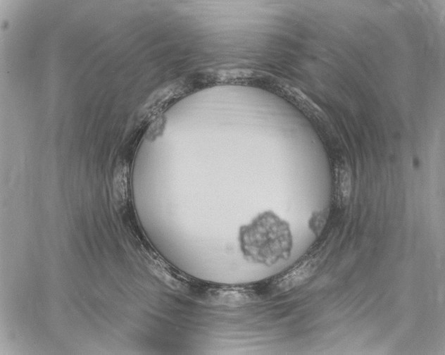 X0000060270475200511181424