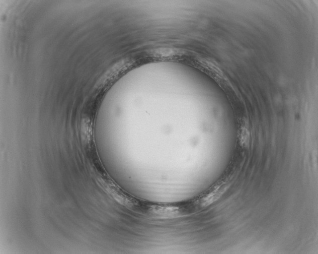 X0000060270476200511181424