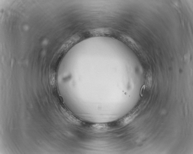 X0000060270477200511181424