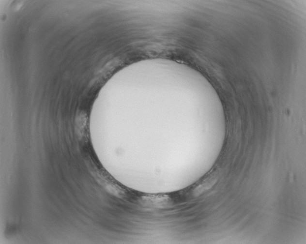 X0000060270480200511181424