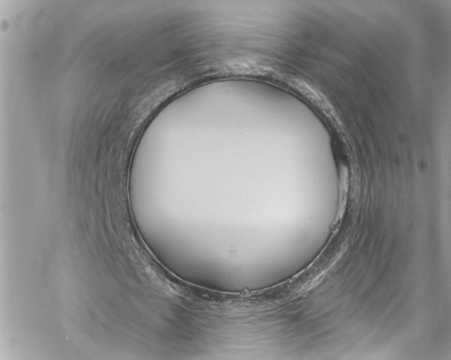 X0000060270481200511181423