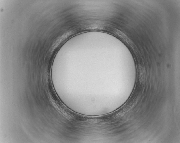 X0000060270482200511181423