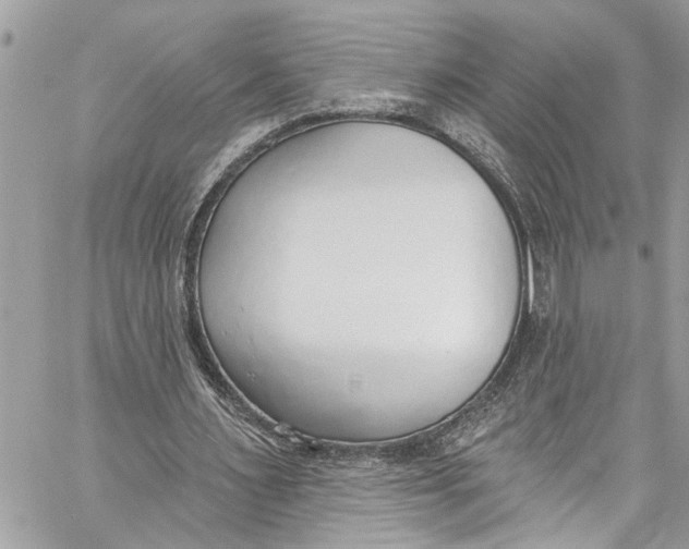 X0000060270483200511181423