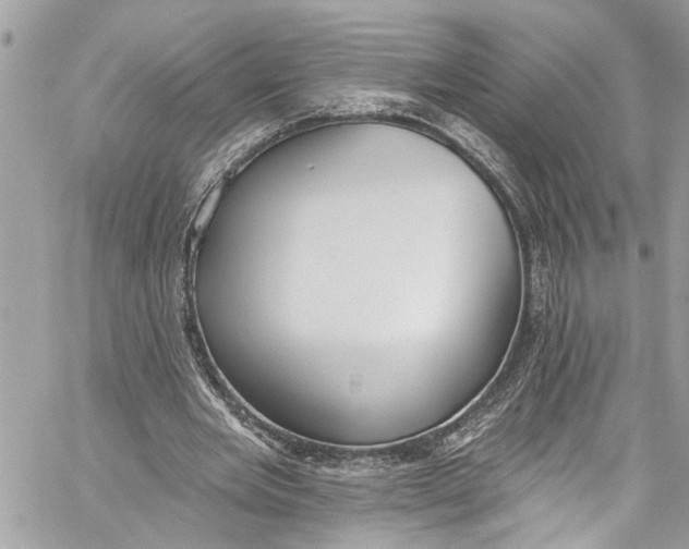 X0000060270485200511181423