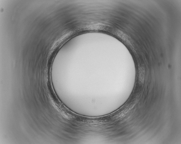 X0000060270486200511181423