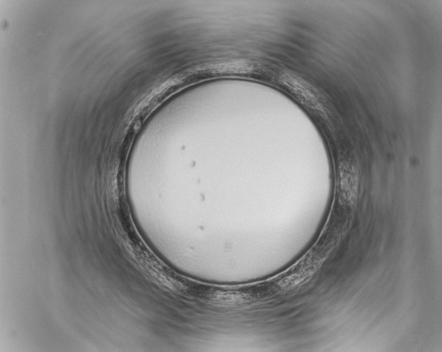 X0000060270487200511181423