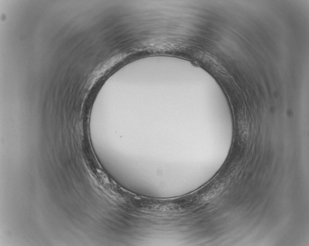 X0000060270488200511181423