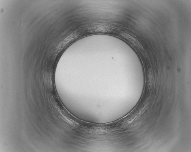 X0000060270489200511181423