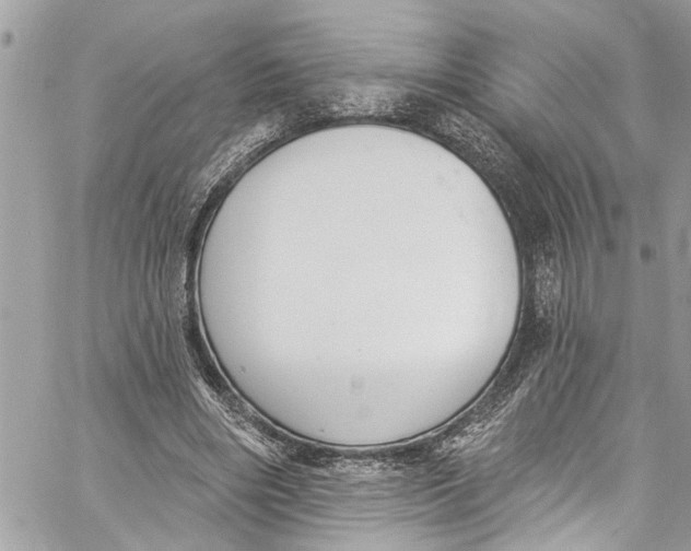 X0000060270490200511181423