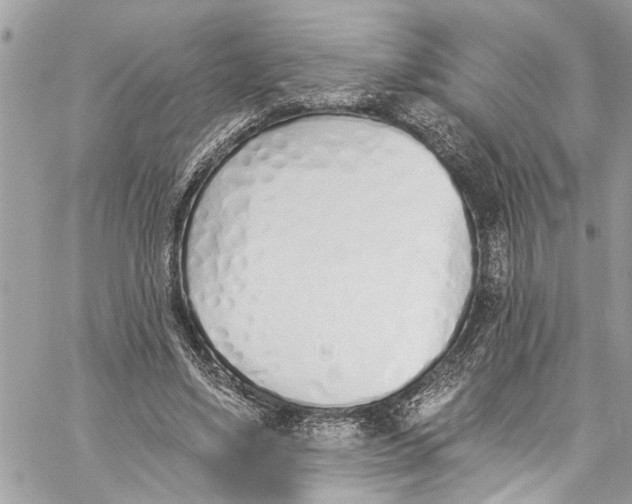 X0000060270491200511181423