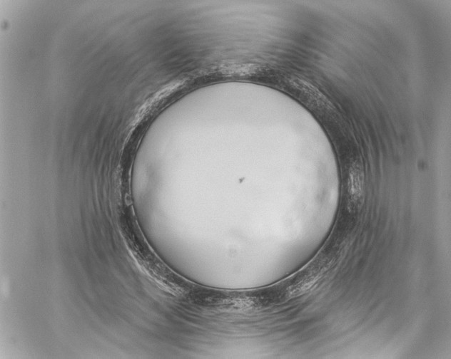 X0000060270492200511181423