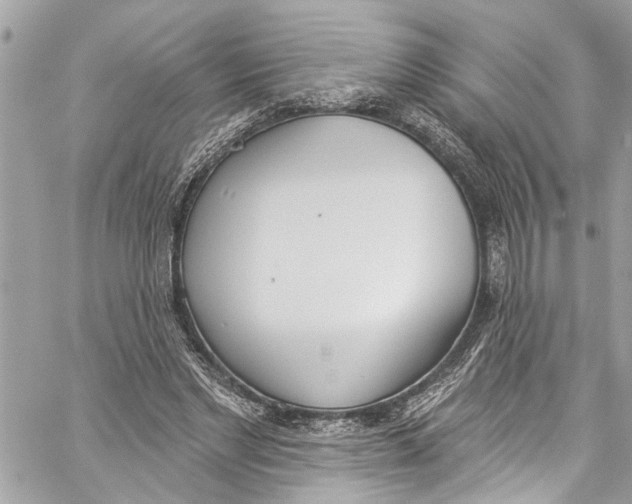 X0000060270493200511181423