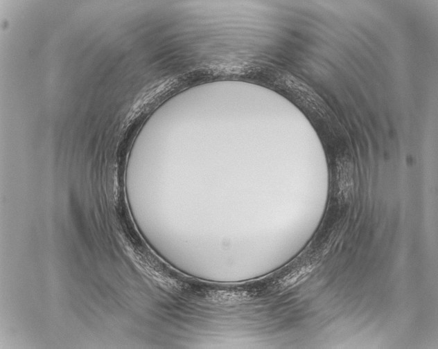 X0000060270494200511181423